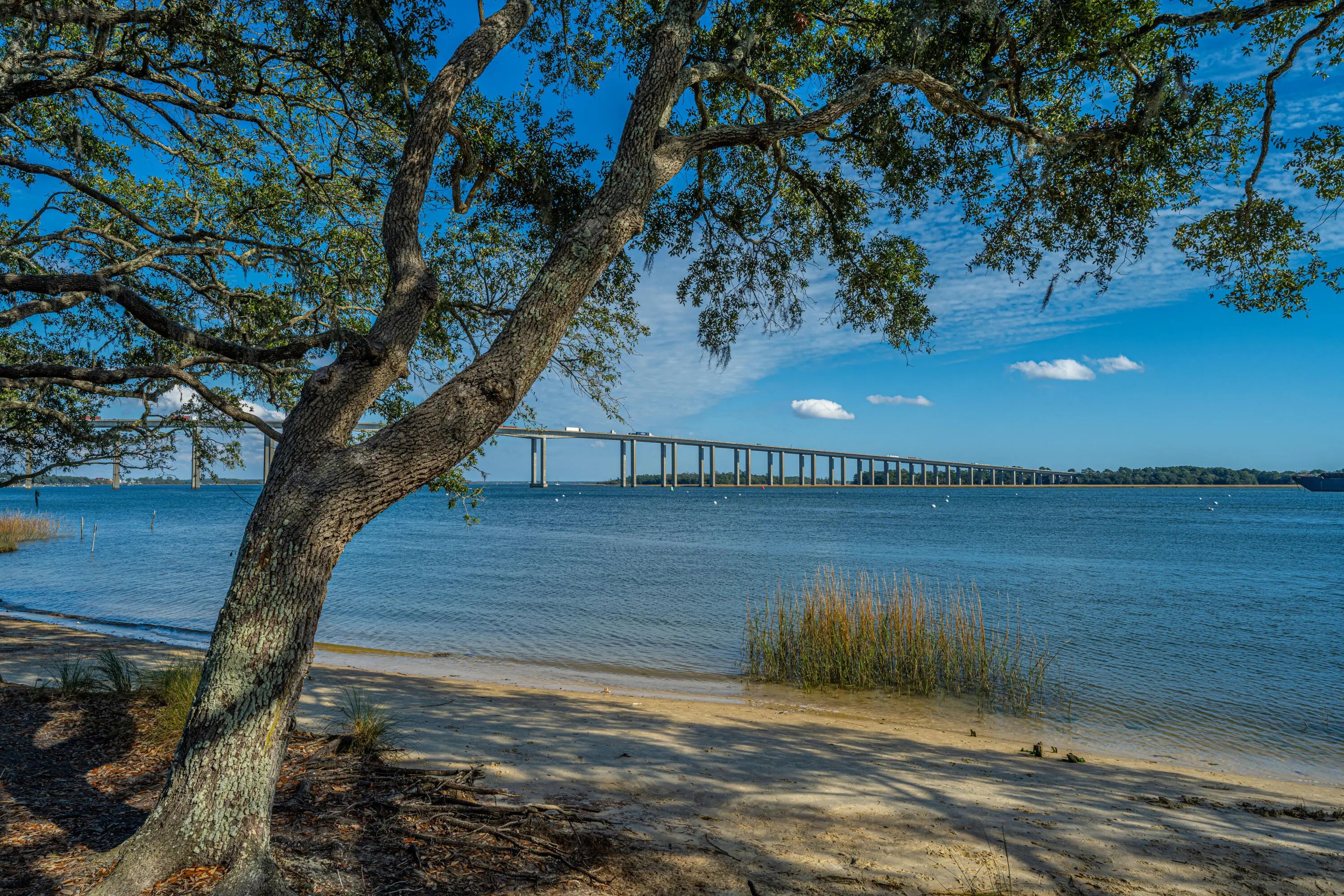 Photo of Listing #25003785