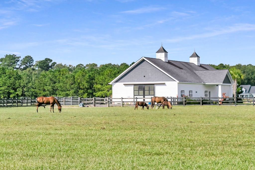17 Leaning Oak Lane, Ravenel