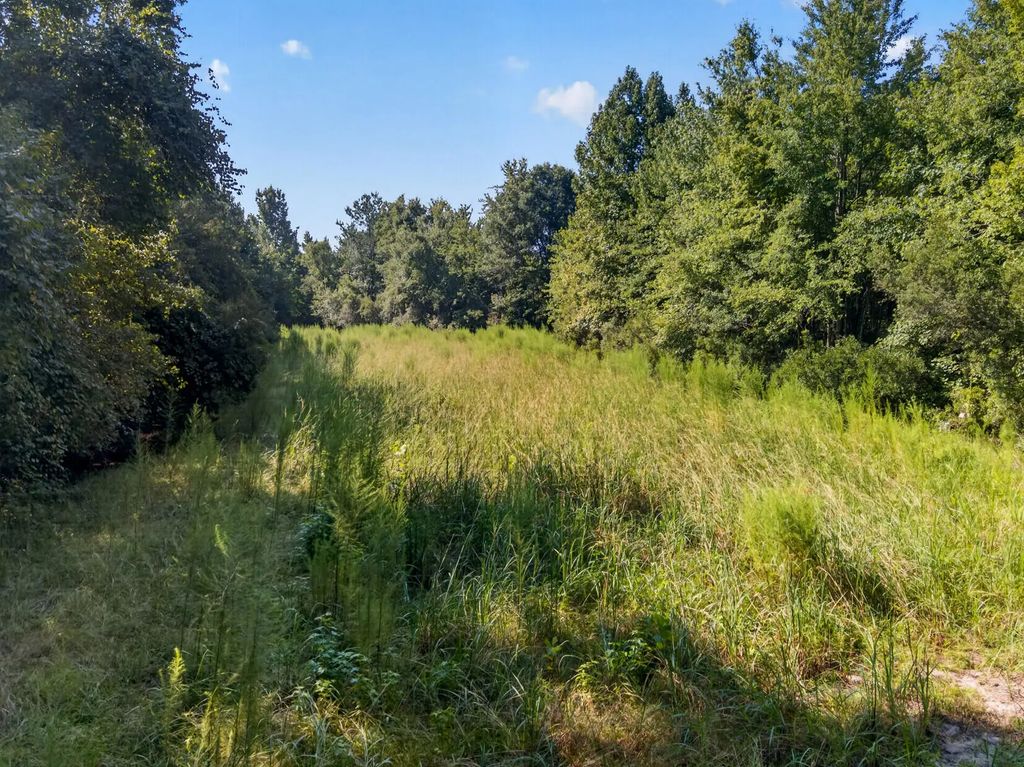 1218 Misty Ridge Lane, Walterboro