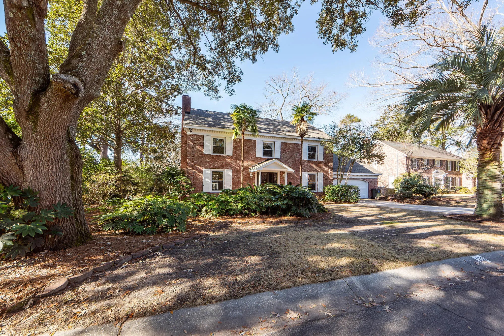 Photo of Listing #25003746