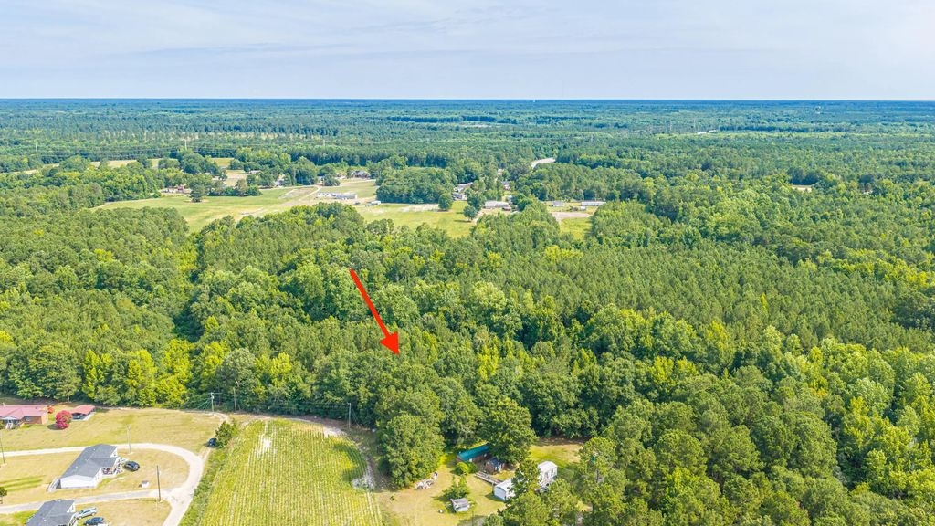 Leviticus Lots D-1 And D-2 Lane, Pineville