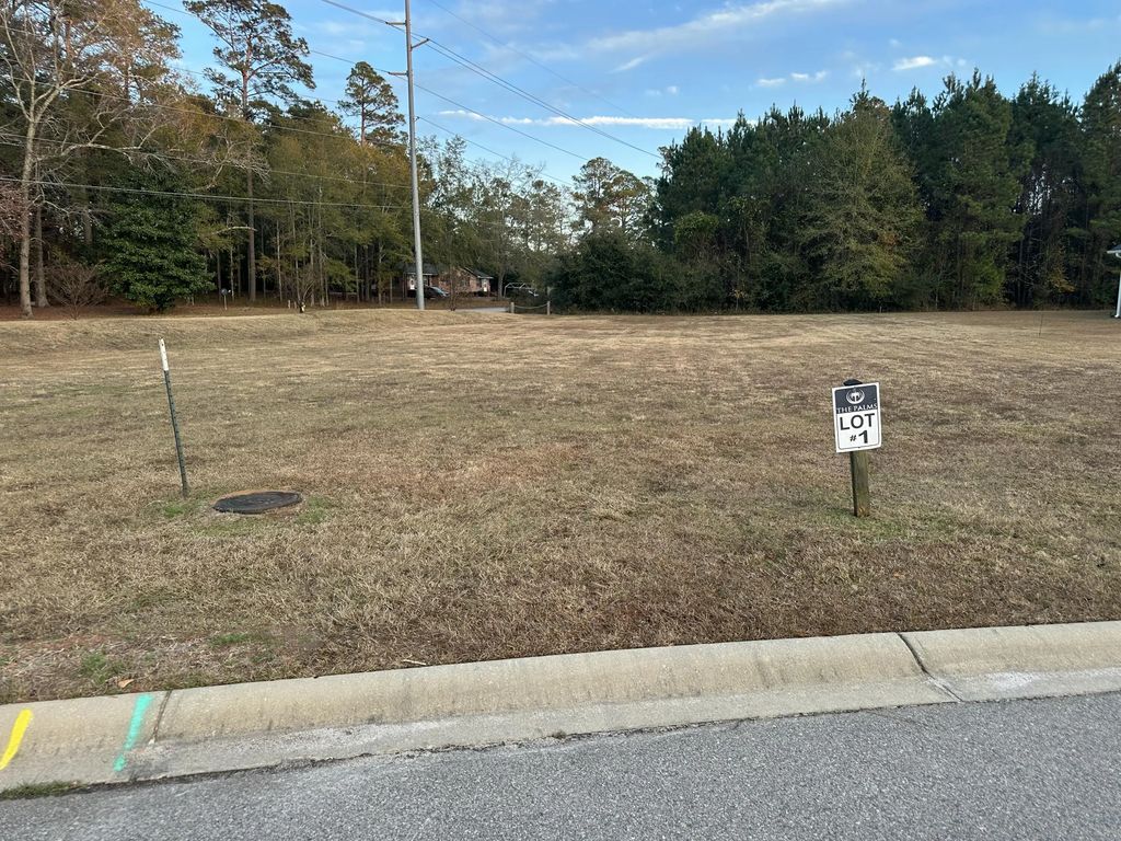 111 Sago Palm Drive, Orangeburg