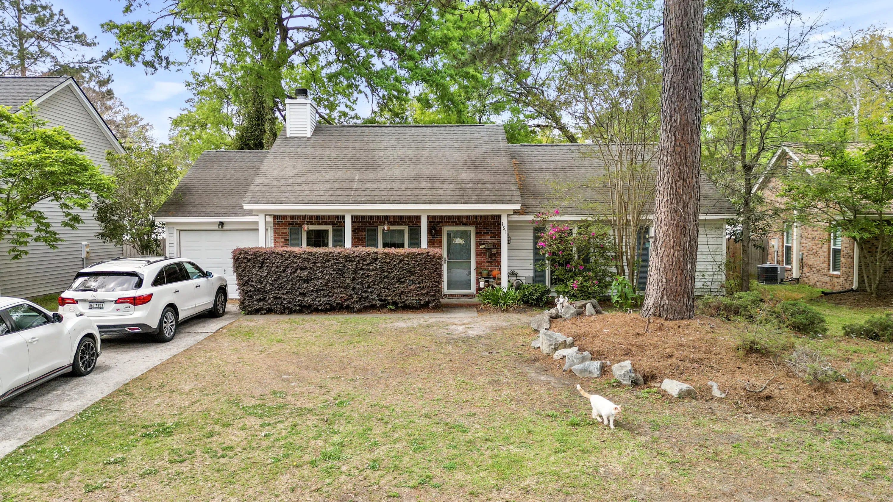 Photo of Listing #25009529