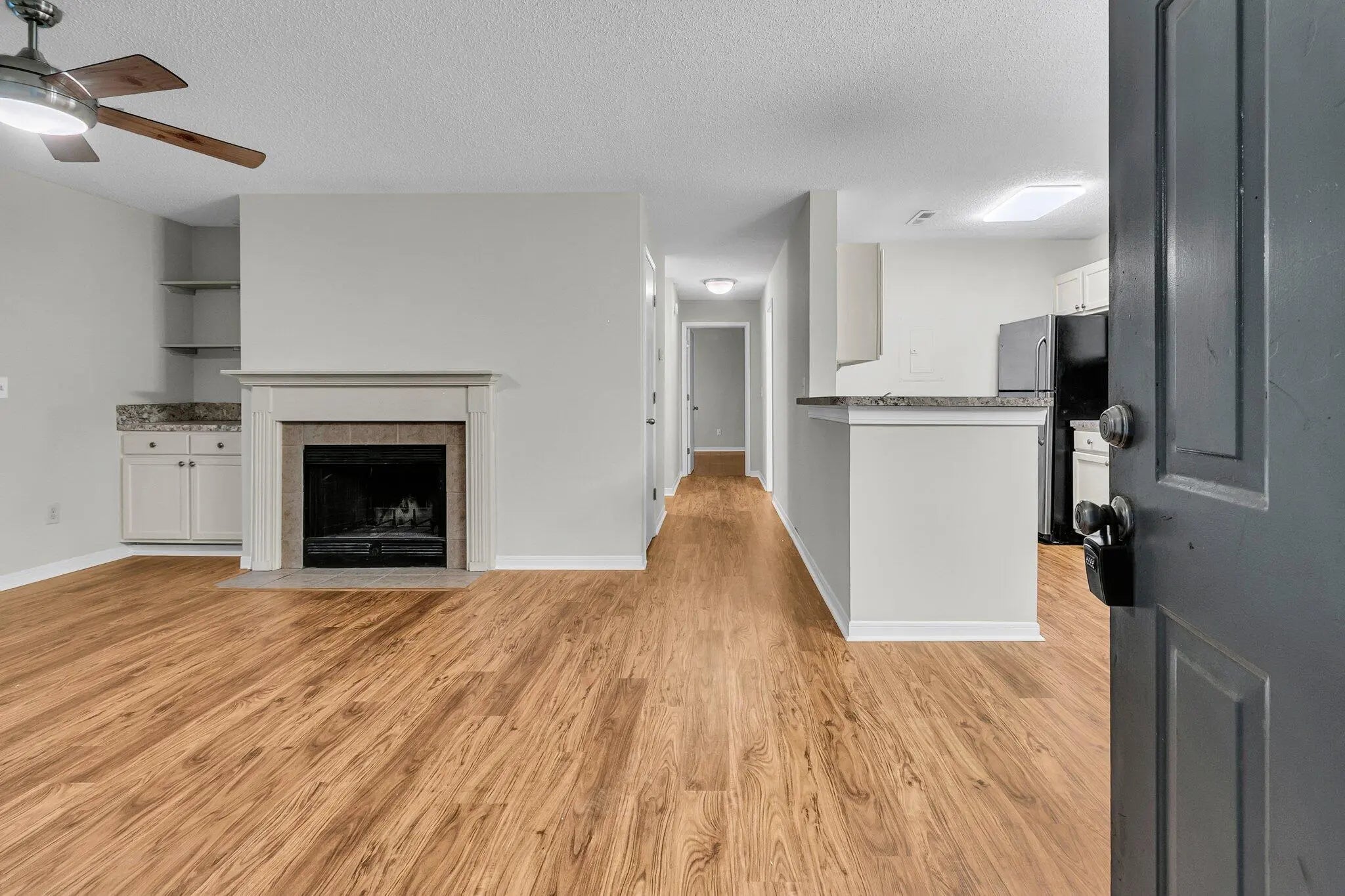 Photo of Listing #25016686