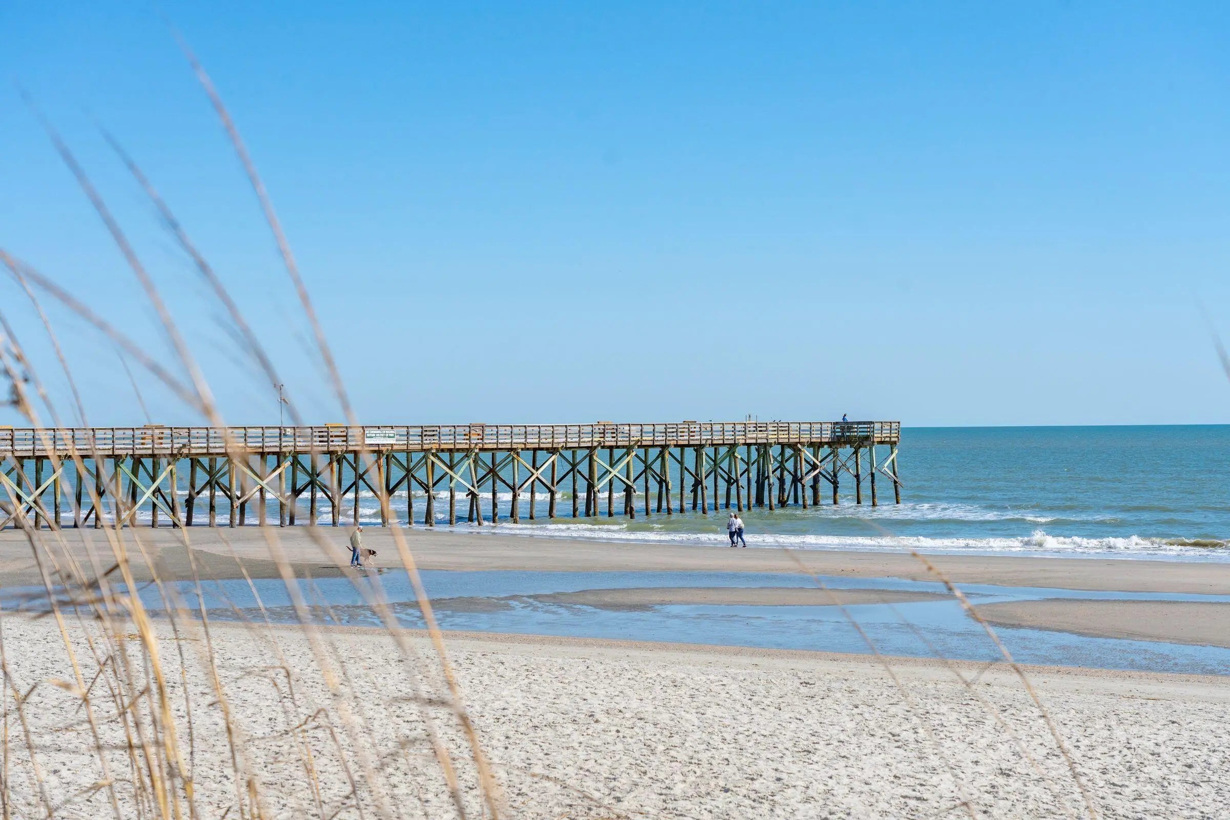 Photo of Listing #25028590