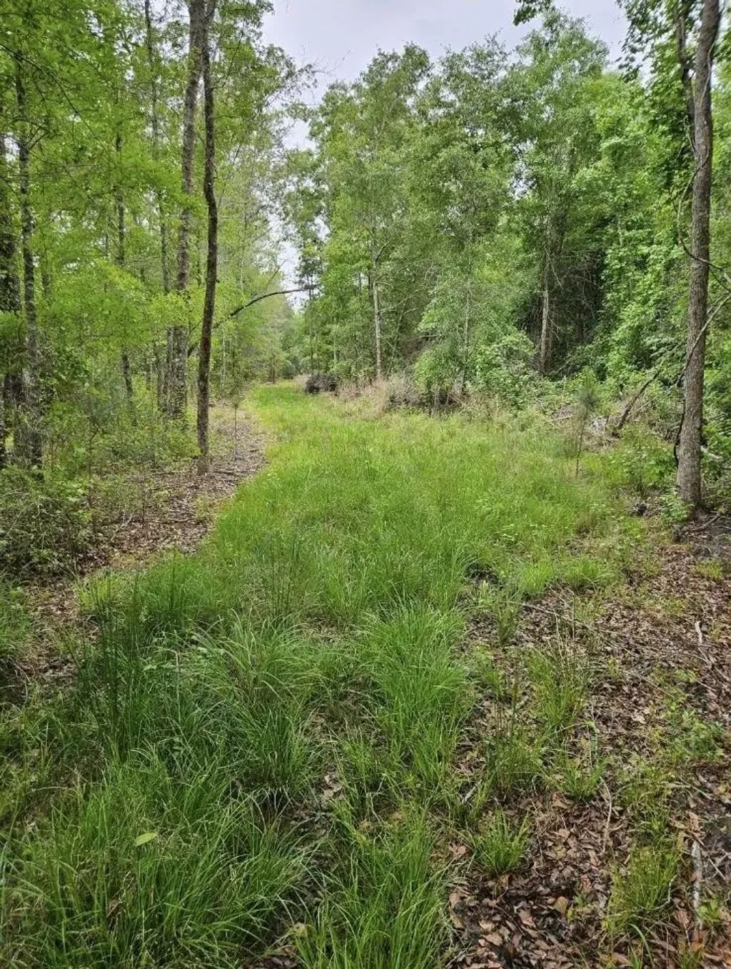 1300 Misty Ridge Lane, Walterboro