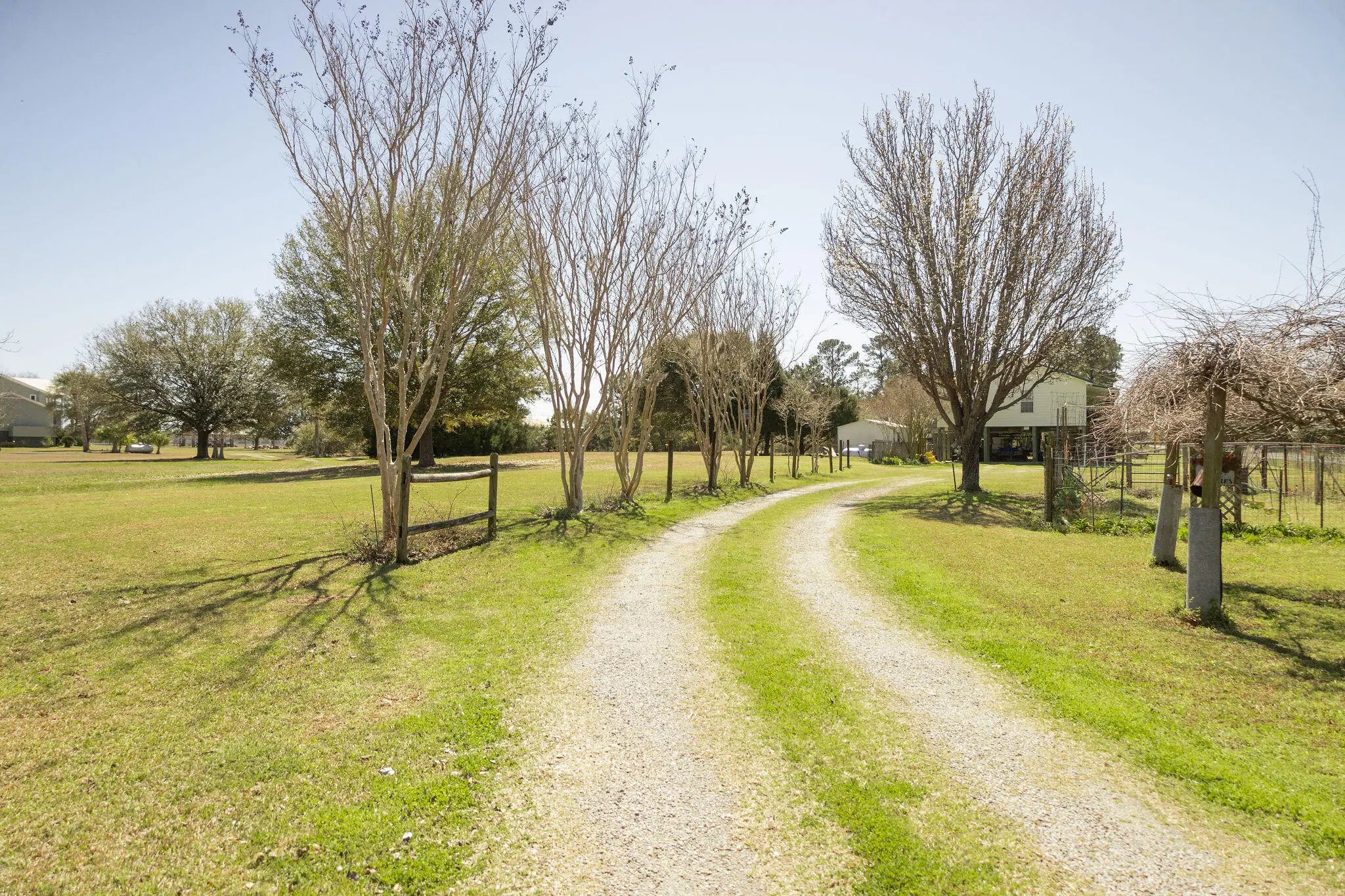 Photo of Listing #25006861