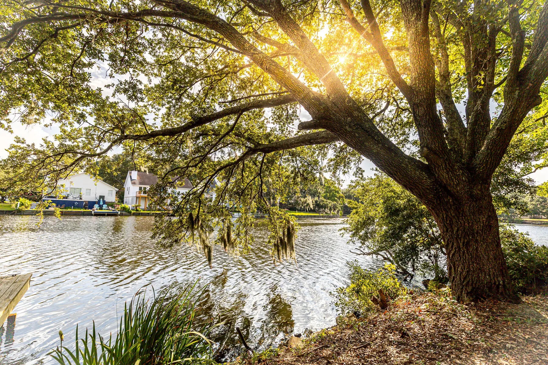 Photo of Listing #26002829