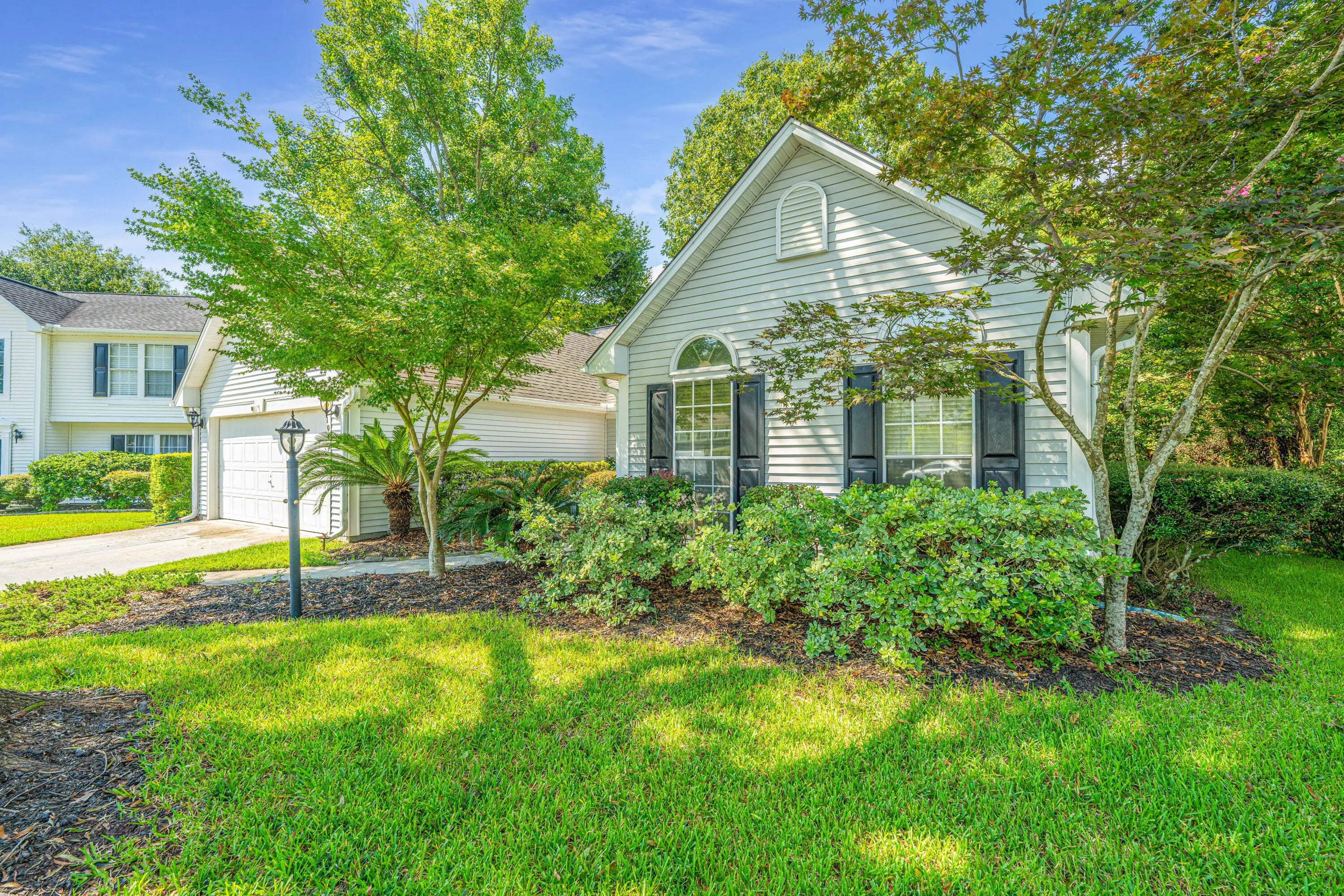 Photo of Listing #25013496