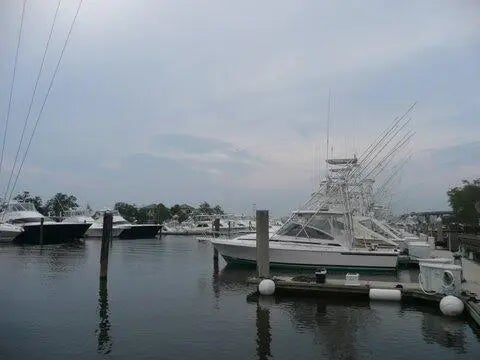 Photo of Listing #26006667