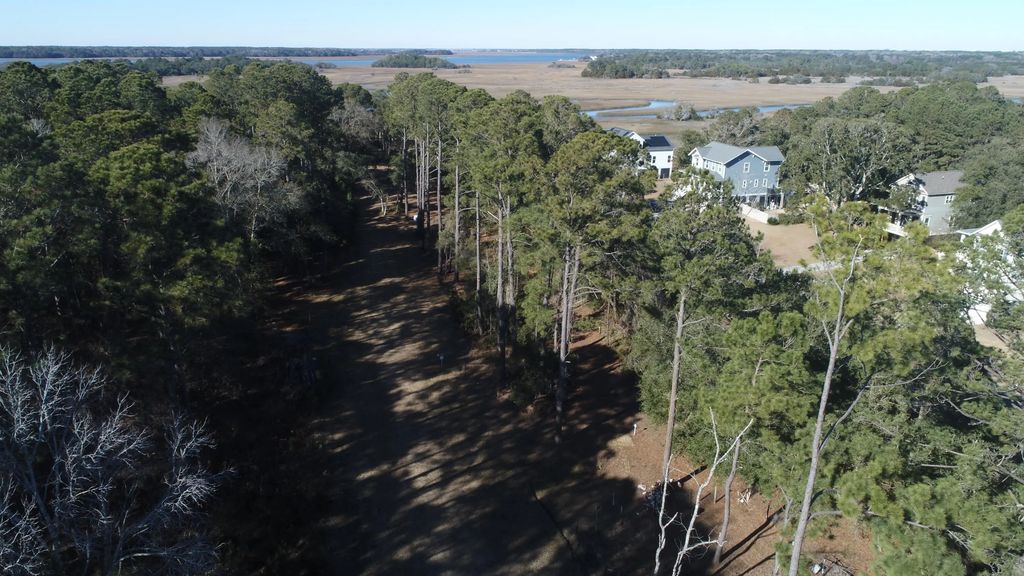 2134 Mcneil Washington Road, Charleston