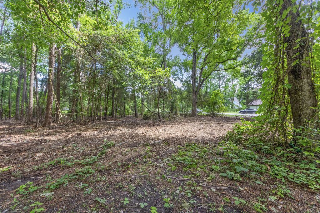 810 Orangeburg Road, Summerville