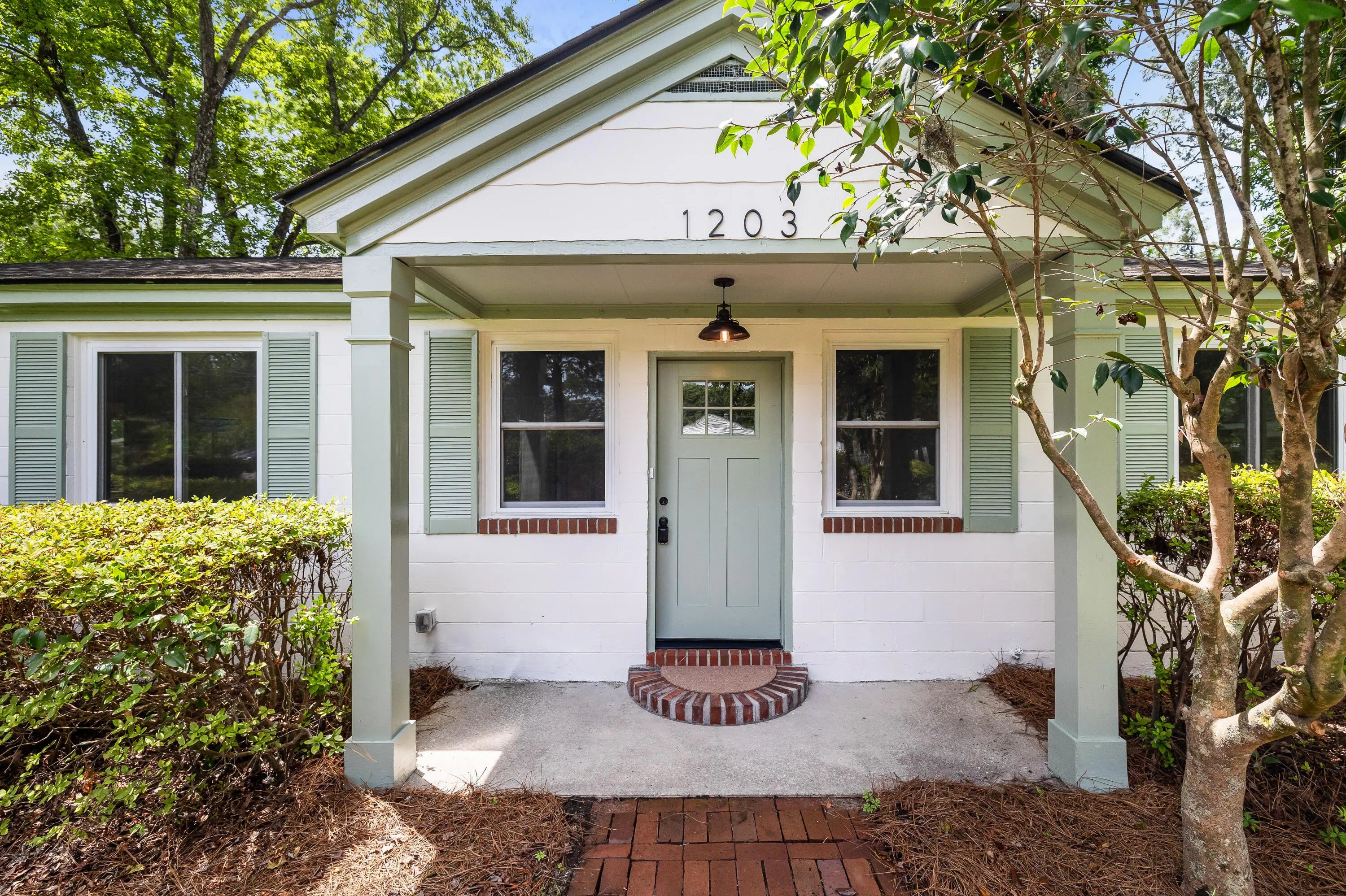 Photo of Listing #25016234