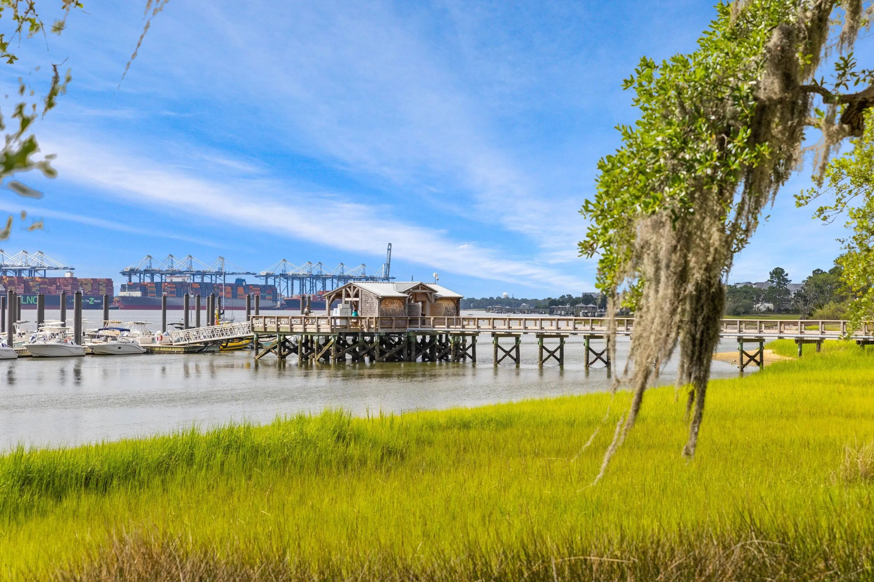 424 Wayfaring Point, Daniel Island, SC, 29492
