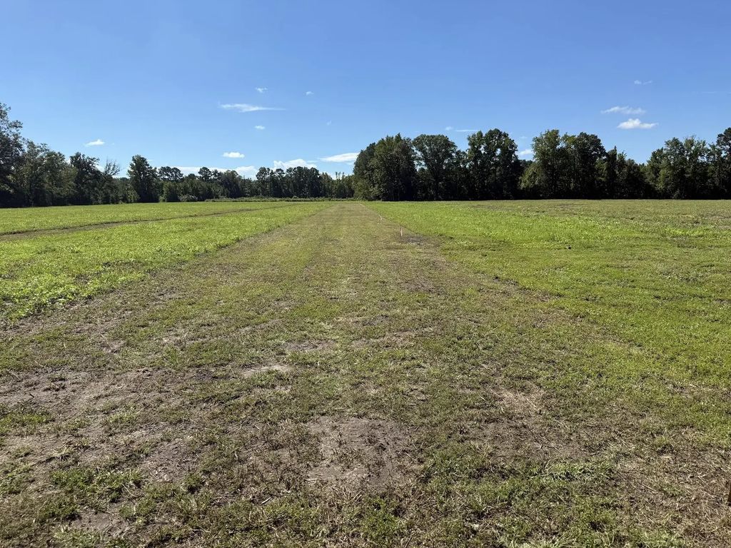 15844 Ace Basin (lot #3) Parkway, Round O