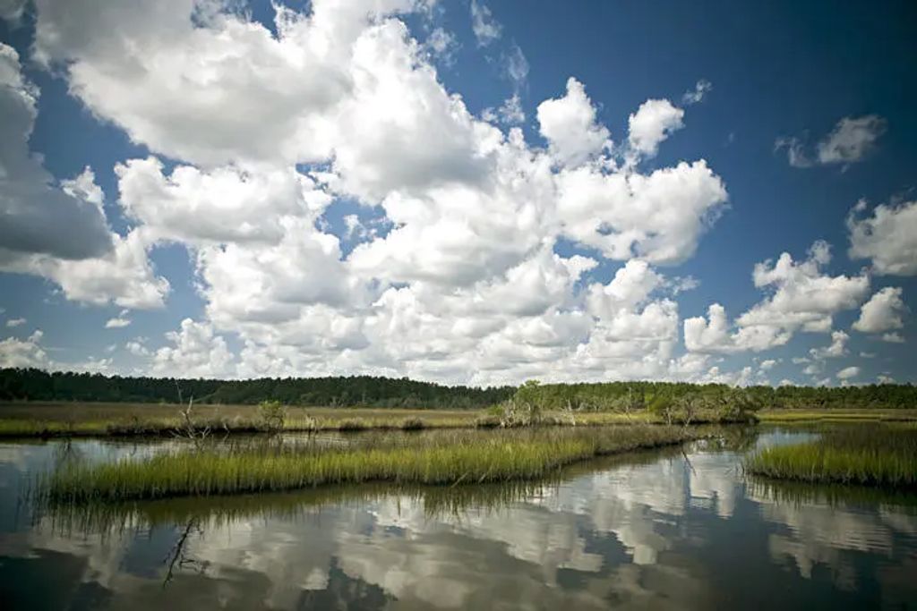 3989 Bulow Landing Road, Ravenel