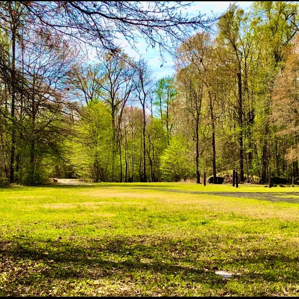1041 Edisto River Road Road, Reevesville