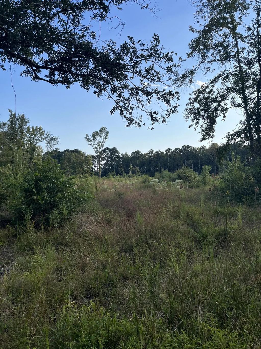 Yaremich Road, Moncks Corner