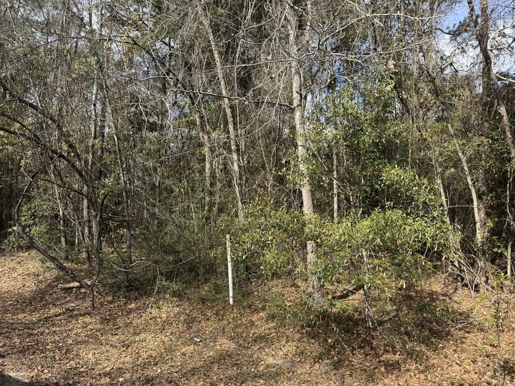 Robertson Boulevard, Walterboro
