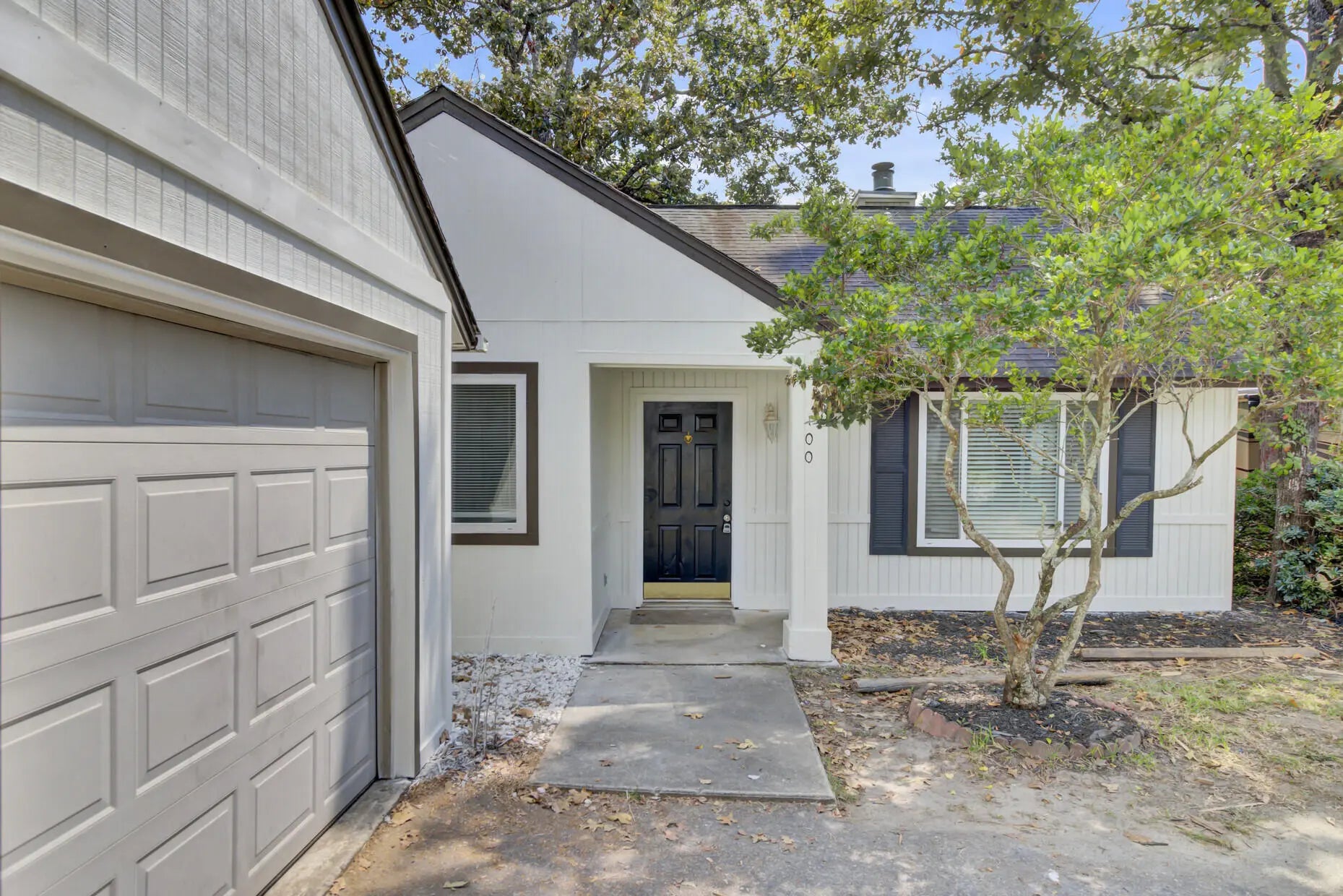 Photo of Listing #25025648