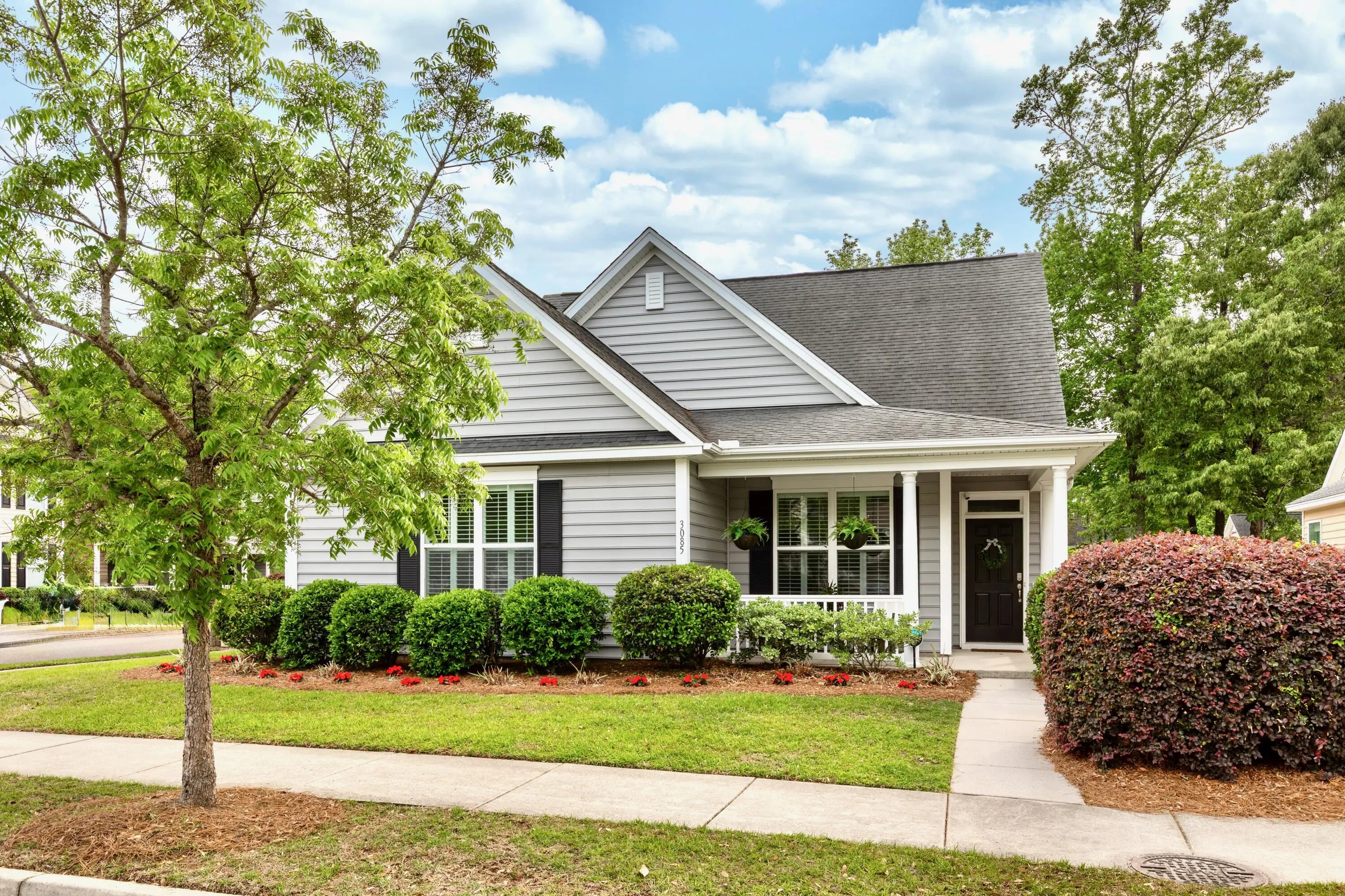 Photo of Listing #25018648