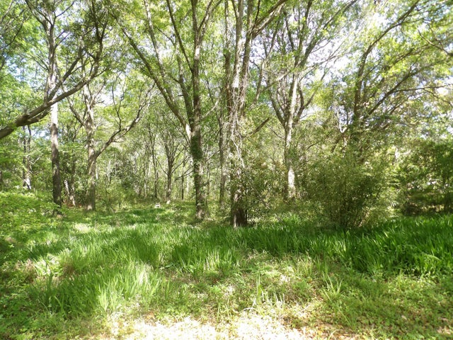 Photo of 1558 Scott Hill Road, Charleston SC