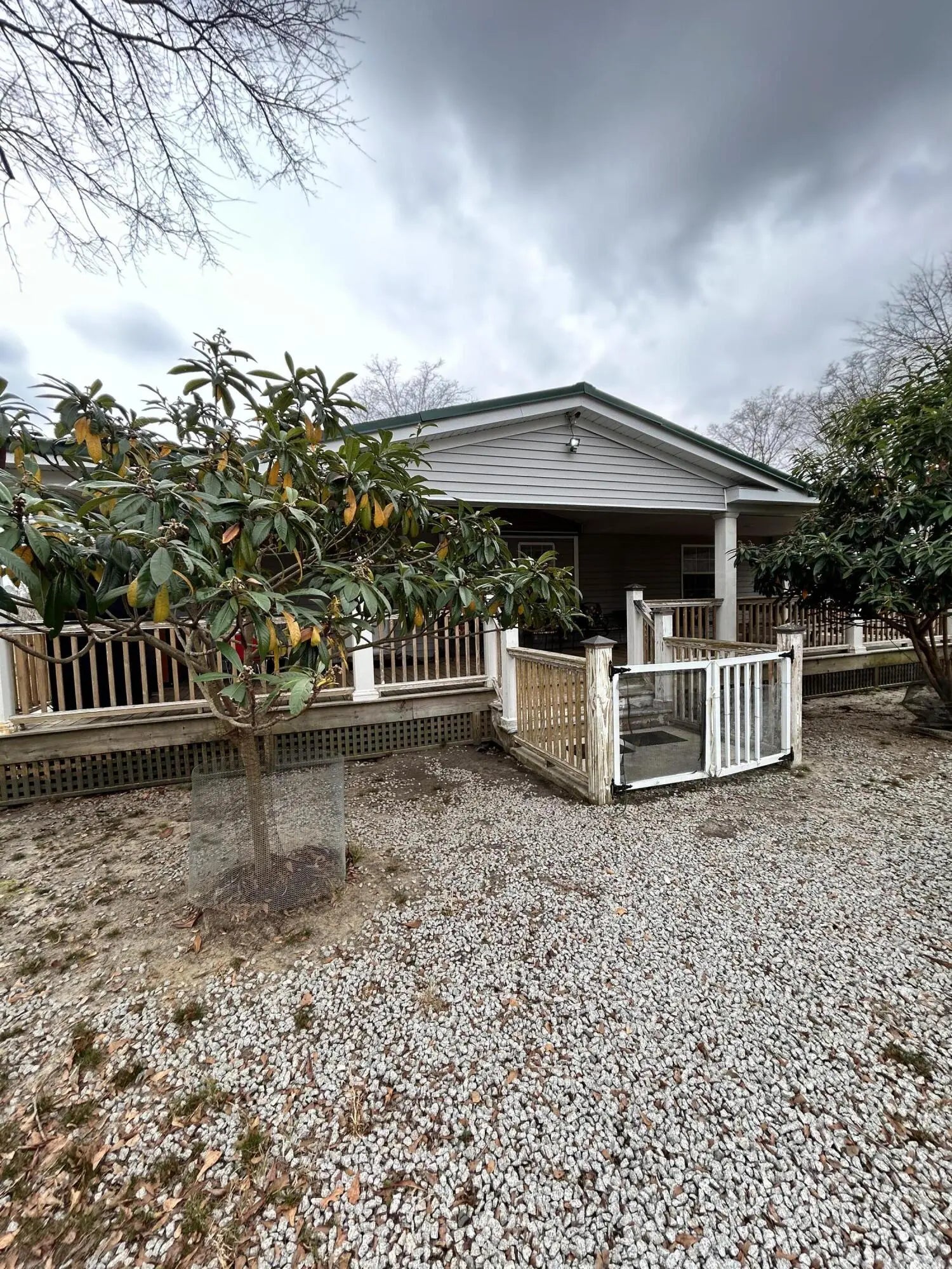 Photo of Listing #24004632