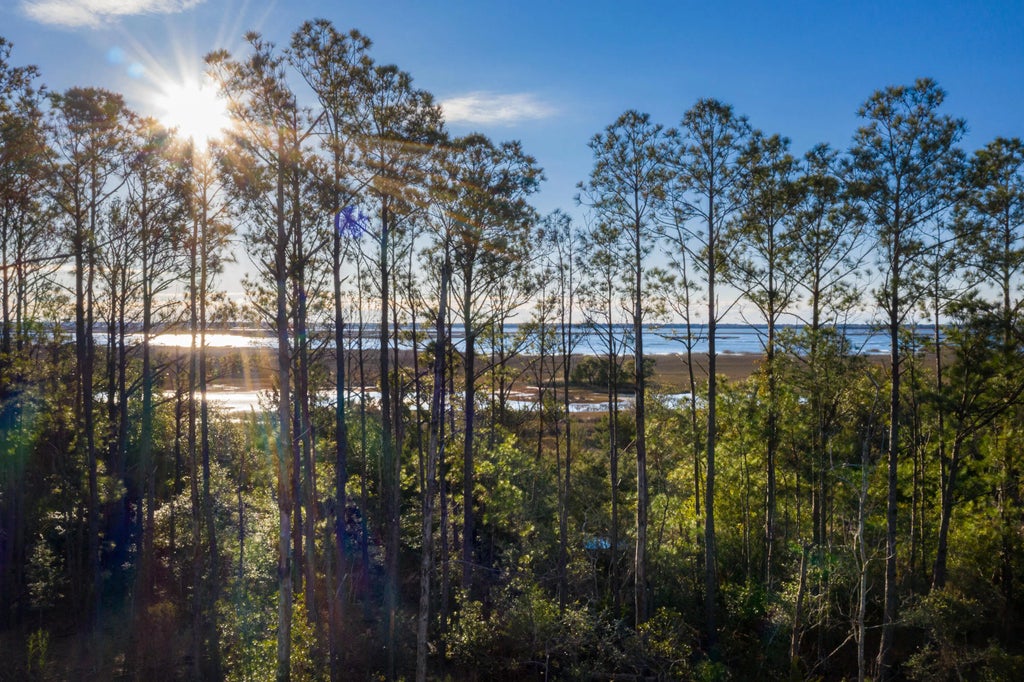 2296 Minifarm Way 525, Mount Pleasant