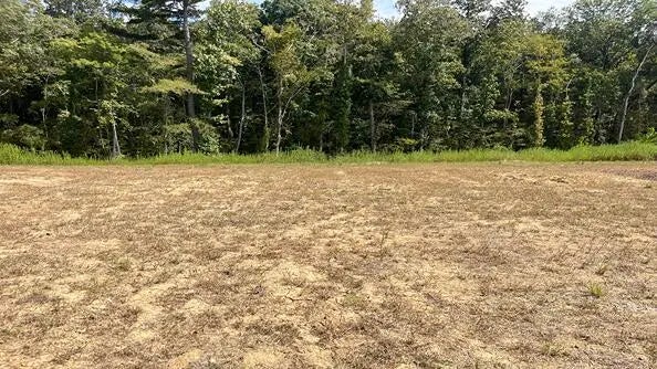 Photo of Listing #25026722