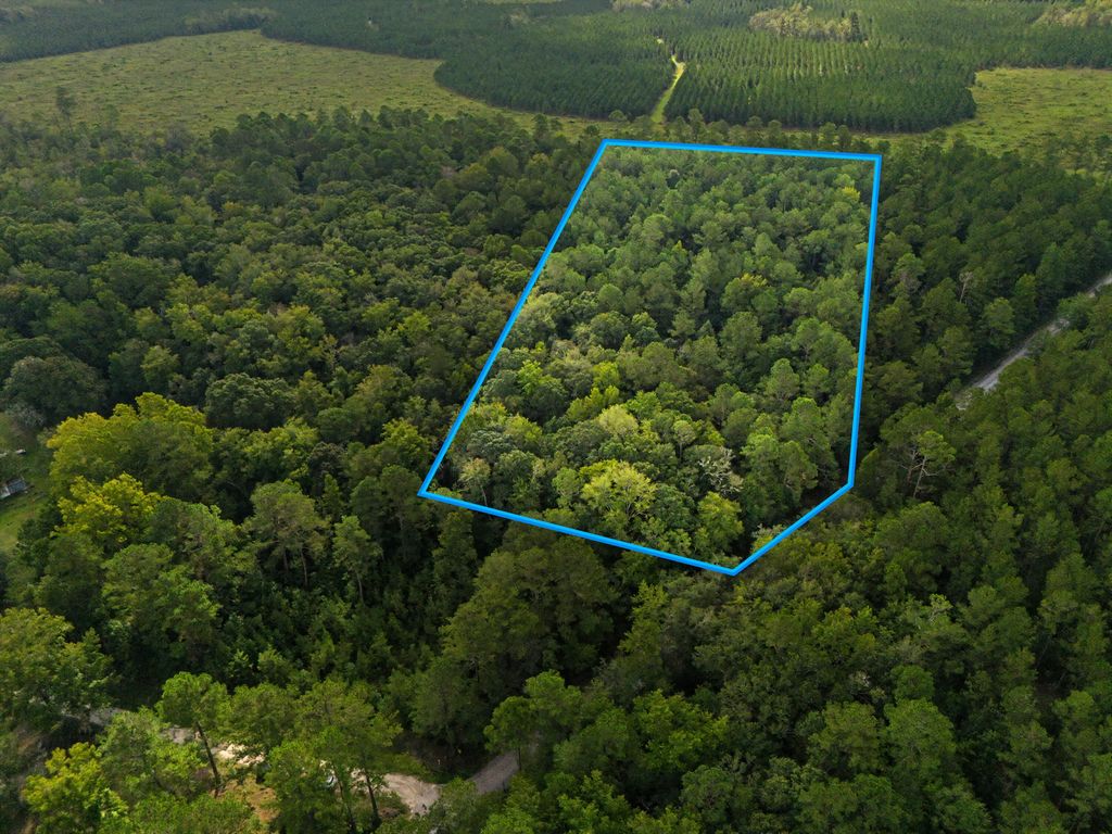 Tree Farm Road, Walterboro