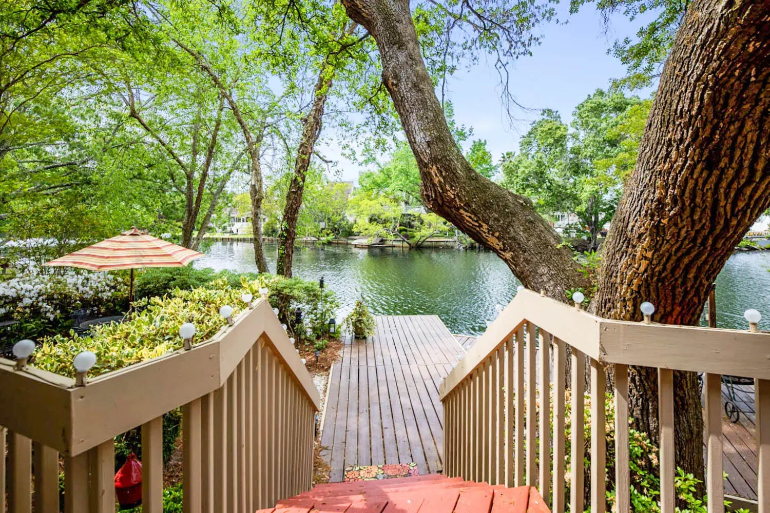 Photo of Listing #25009140