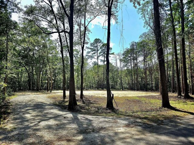 Photo of White Sands Road, Walterboro SC