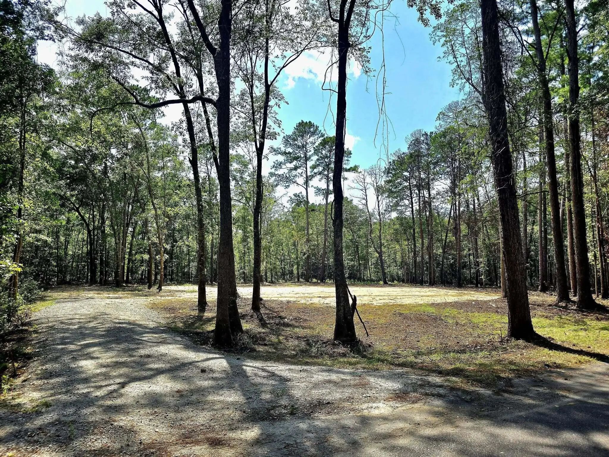 White Sands Road, Walterboro, SC, 29488