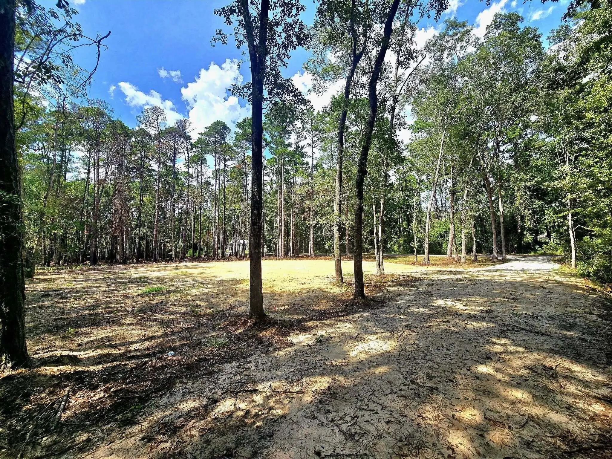 White Sands Road, Walterboro, SC, 29488