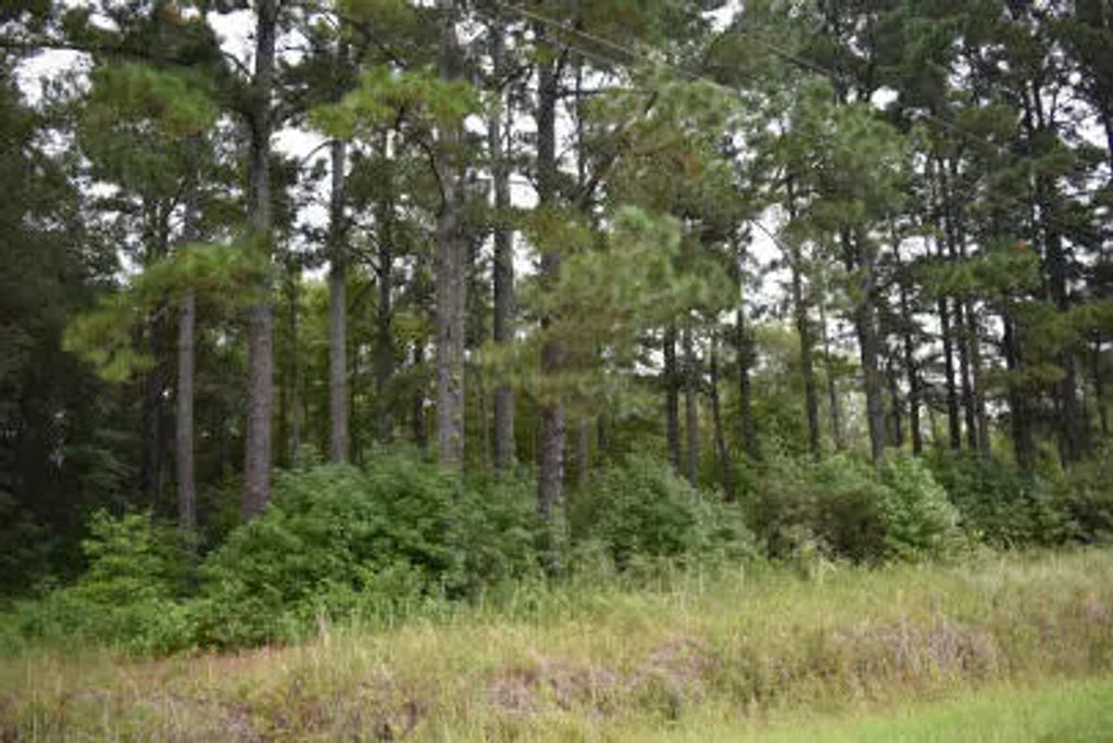 1544 Isabella Road, Kingstree