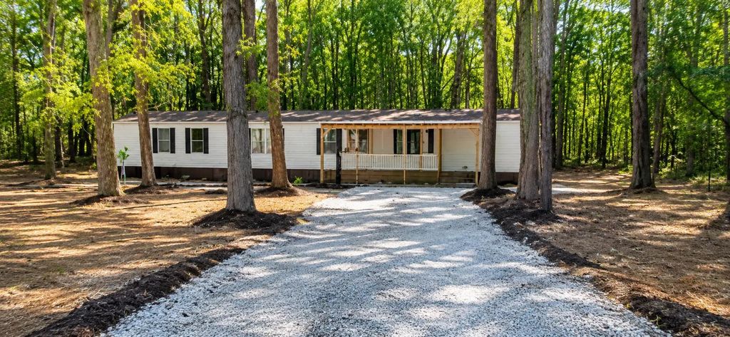 1217 Birch Drive, Summerton