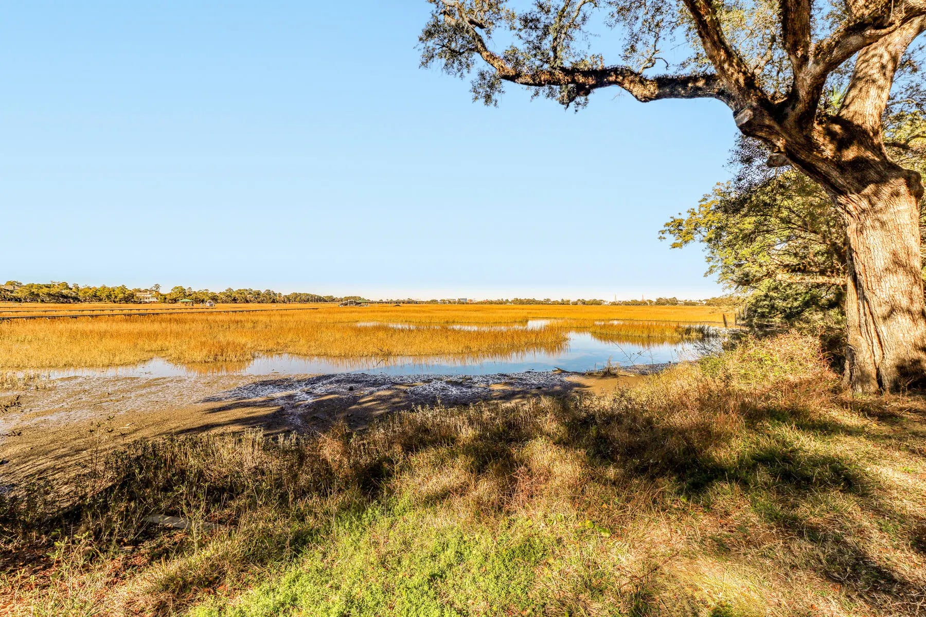 Photo of Listing #26002779