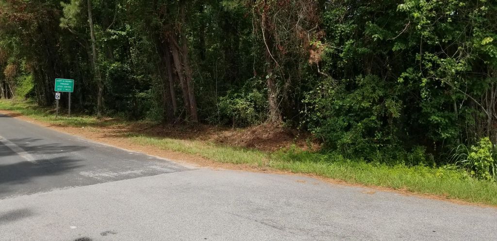 308 Mcdaniel Street, Walterboro