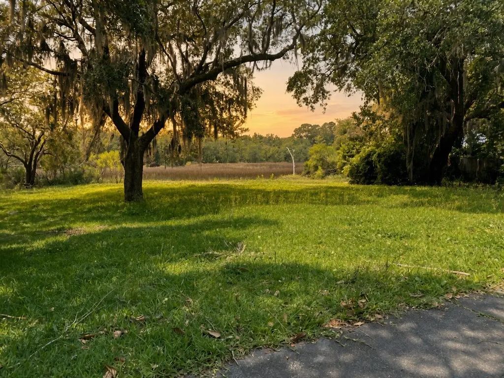 217 Marsh Oaks Drive, Charleston