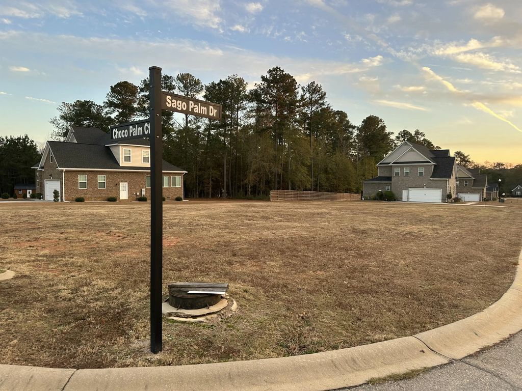 201 Sago Palm Drive, Orangeburg