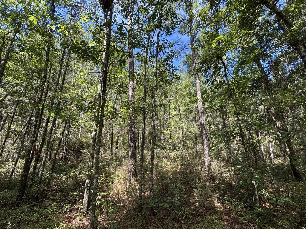 10 Red Oak Road, Cottageville