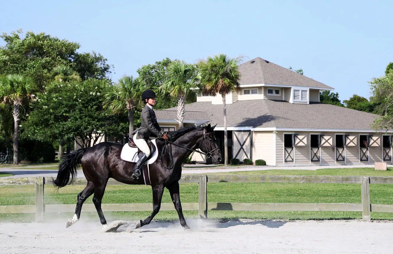 2611 High Hammock Road, Seabrook Island, SC, 29455