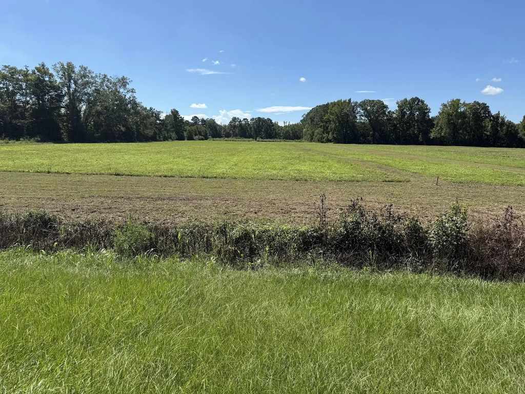 15860 Ace Basin (lot #1) Parkway, Jacksonboro