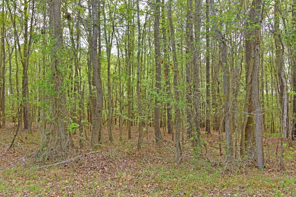 Ridgelake(lot 35) Circle, Saint Matthews