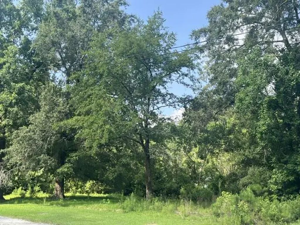 Parsons Road, Summerville
