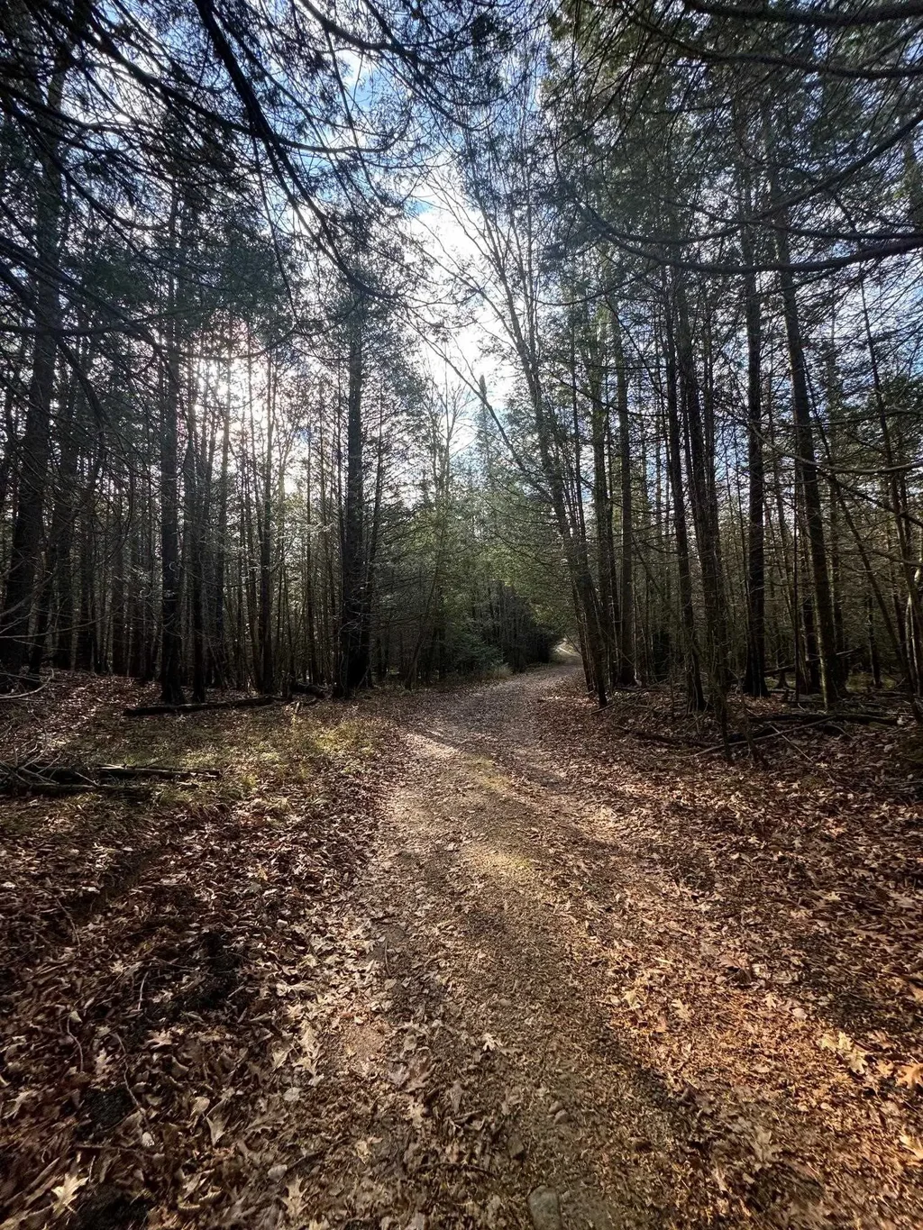 Birnamwood Road, Birnamwood