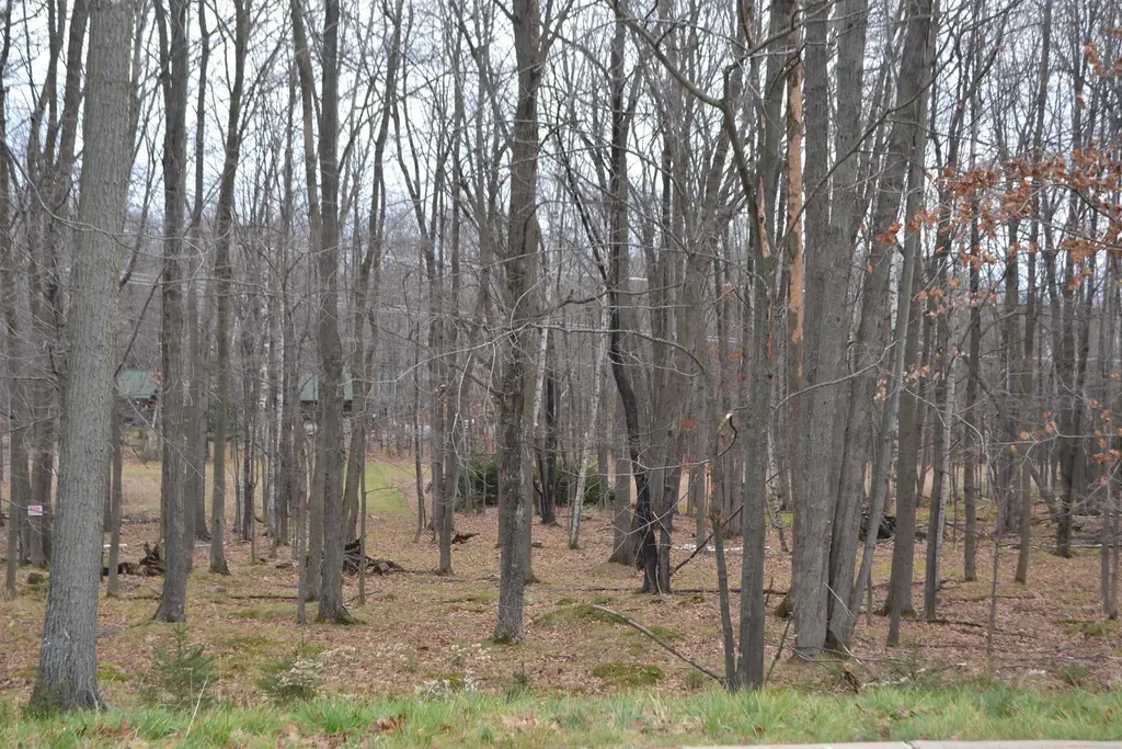 Lot #33 Buck Wood Lane, Wausau