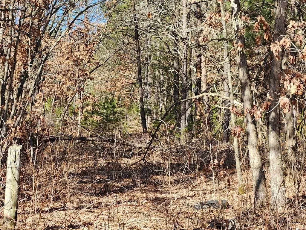 Koval Road, Lyndon Station