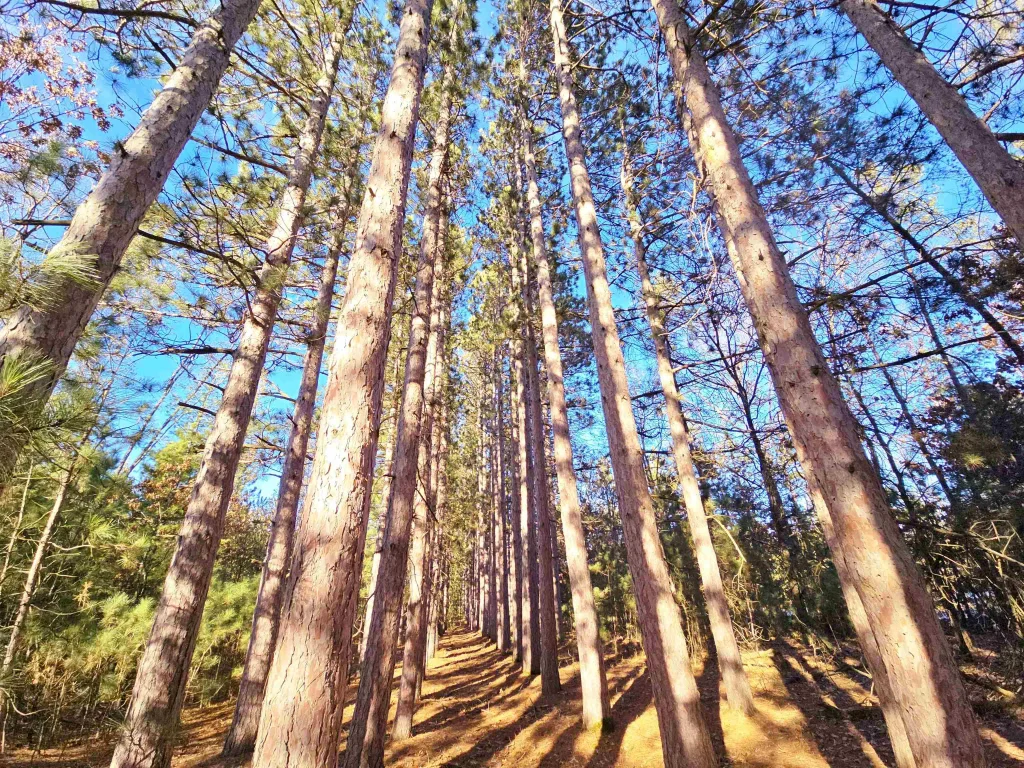 1989 8th Avenue, Friendship