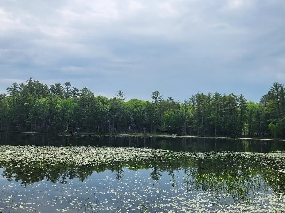 5912 W Twin Lake Road, Hazelhurst